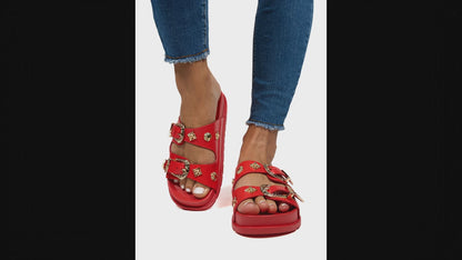 Claquette Shreya ( dernière version )